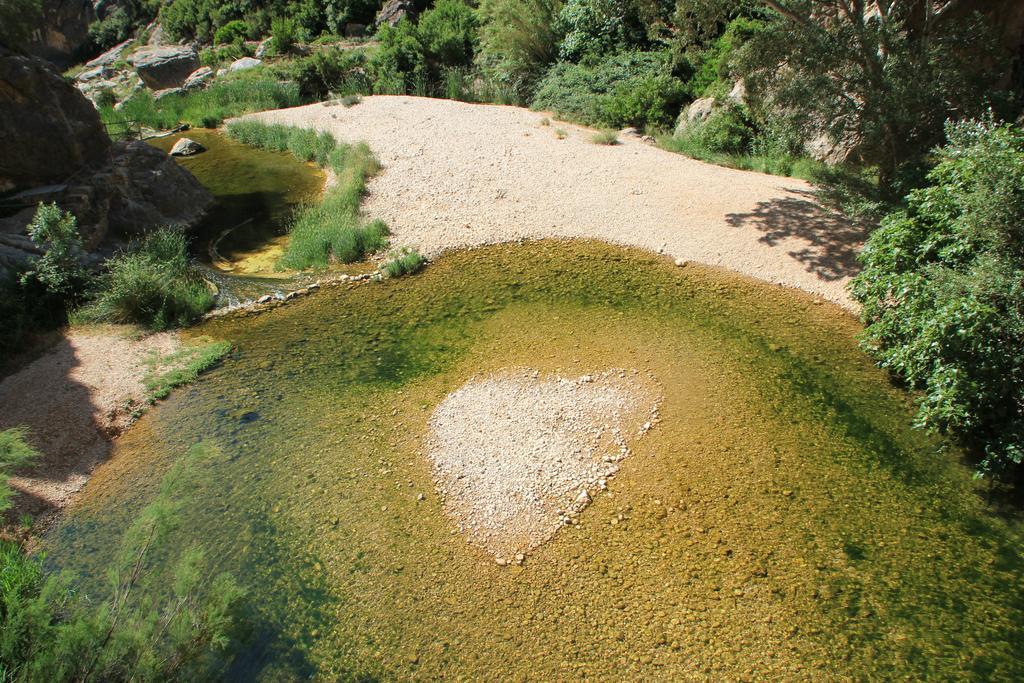 Villa Ca La Leonor, Ecoturisme Terra Alta Bot Habitación foto